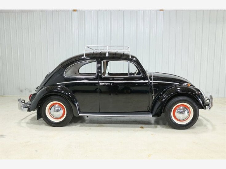 Thumbnail Photo undefined for 1964 Volkswagen Beetle